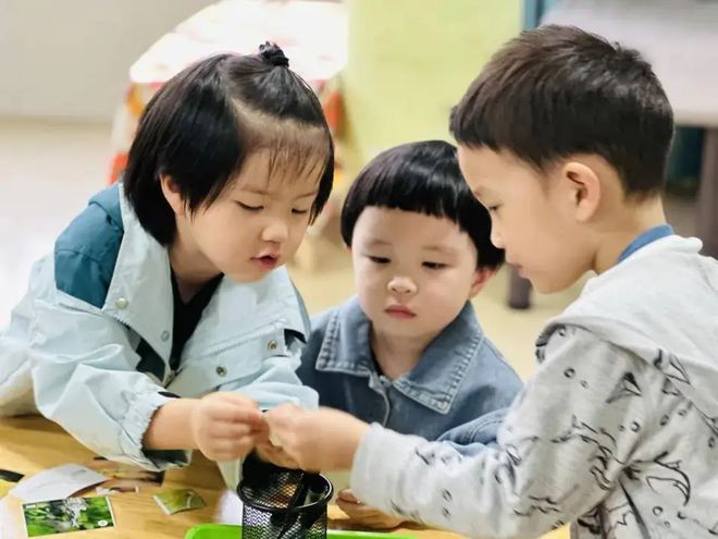 看到22年幼儿园入园4628万人再看23年幼儿入园人数差距太大了(图19)