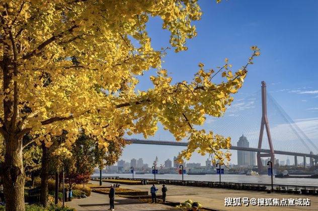 凯发国际：2024瑞安翠湖滨江(售楼中心)网站-翠湖滨江房产百科-房天下(图10)