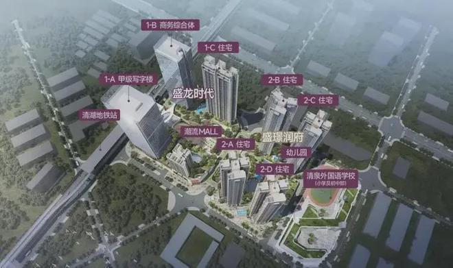 龙华盛璟润府几梯几户团购处(图3)