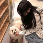 澳门黄金金版网站澳(图2)