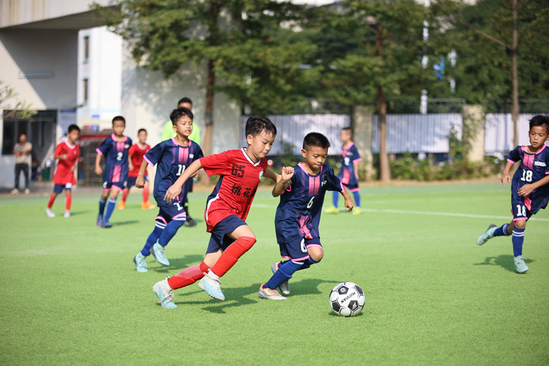 西乡塘区：实施“五力”举措义务教育优质均衡发展(图5)