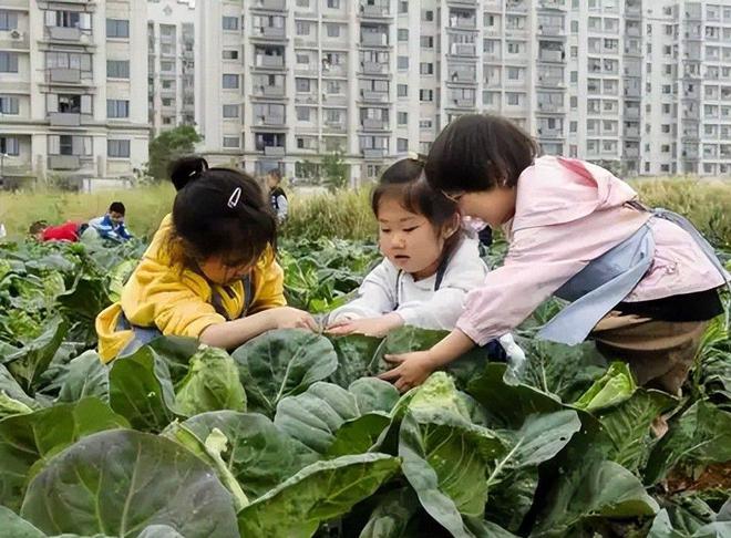 凯发国际首页：近三年幼儿园人数持续下滑：22年4628万23年4093万24年真意外(图14)