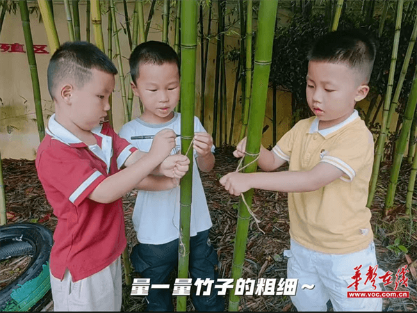 凯发国际首页：宁远县直属机关幼儿园2024年学前教育宣传月推送案例获表扬(图1)
