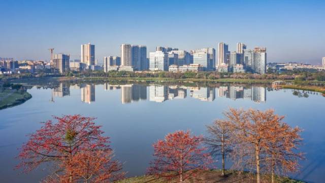 集体签约、总部项目落地!白云湖数字科技城强势崛起(图6)