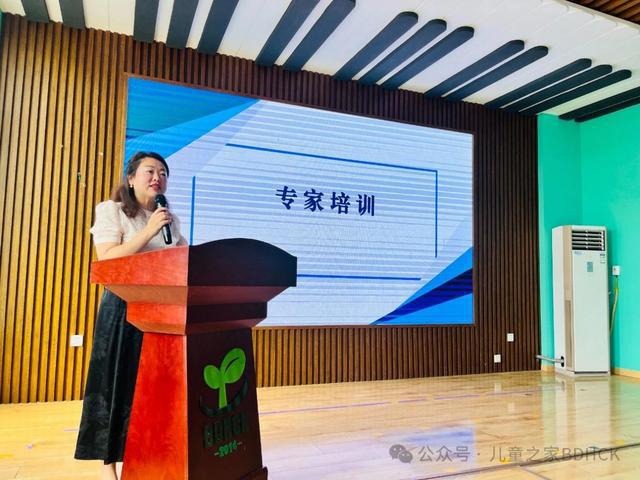 追随儿童视角共研课程新章——灞桥区“一区一重点一园一特色”游戏化实践课程研讨会圆满举办(图8)