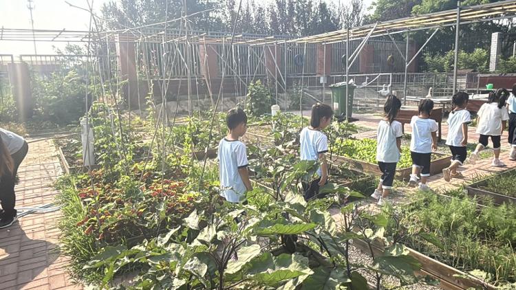 凯发国际：初探小学礼遇成长——桓台县果里镇前埠村幼儿园开展幼小衔接活动(图3)