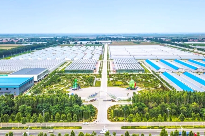 潍坊：多维跃升勾勒高质量发展新图景(图3)