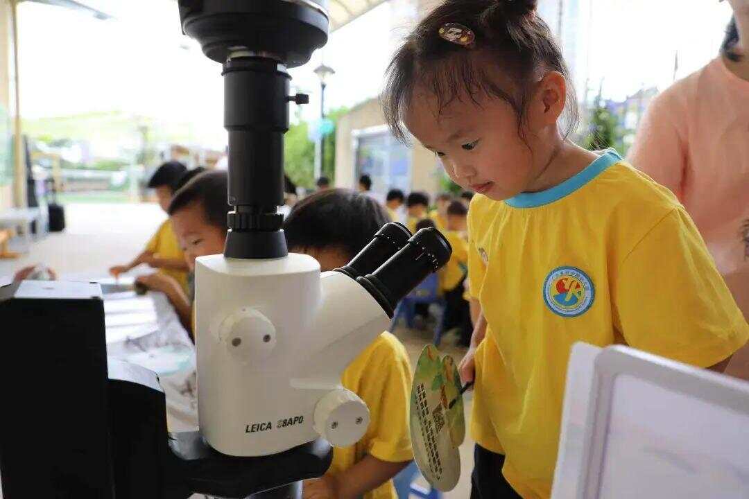 免费学前教育要来了！专家解读→(图2)
