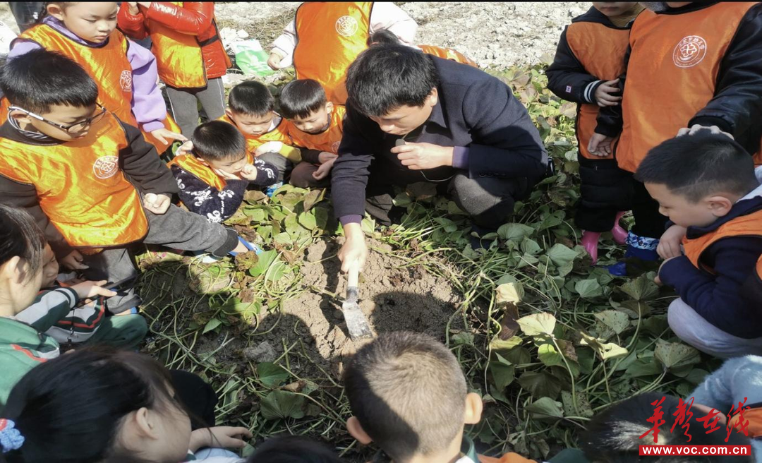 怀化市旅游学校彭爱萍团队深耕田园课程推广惠及多地幼教发展(图2)