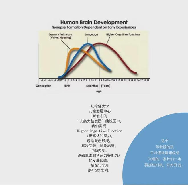 凯发国际：韩博士幼儿乐高人工智能课程做人工智能时代的先行者。(图1)