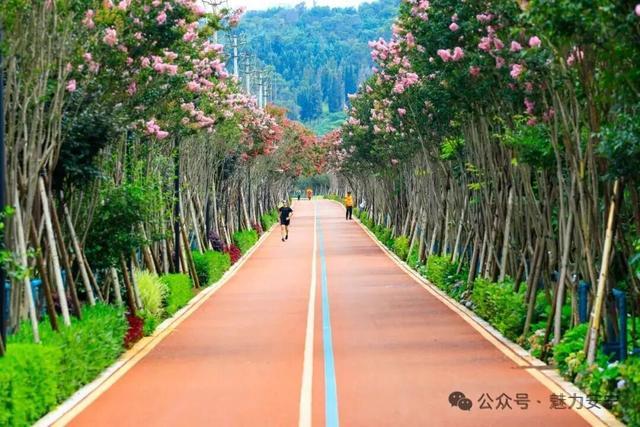 凯发k8旗舰厅ag：撤县设市30年安宁交出高质量发展答卷(图10)