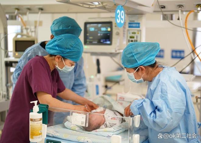 出生率拉响警报广东113万新生儿全国第一东北为何不愿生(图3)