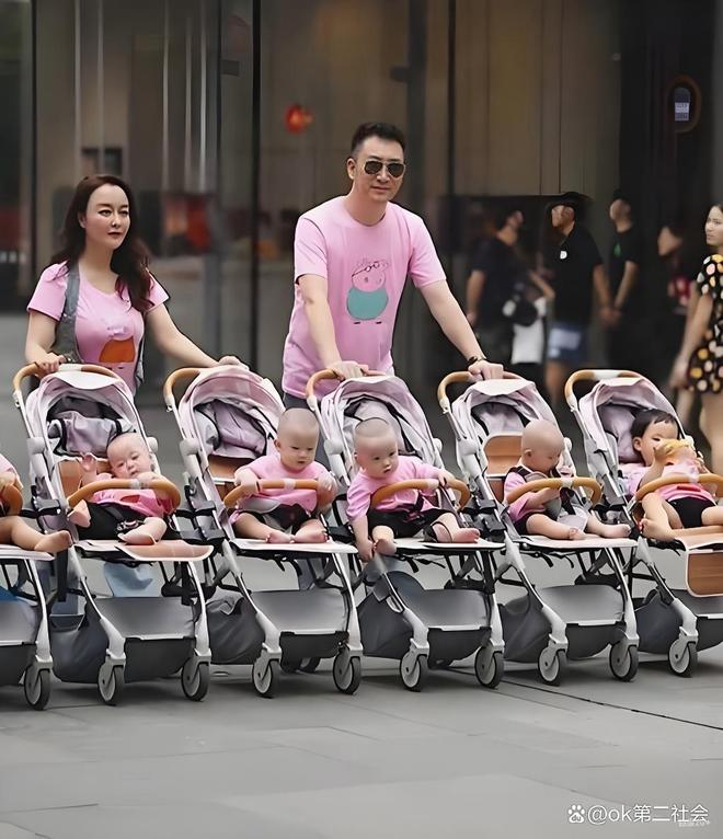 出生率拉响警报广东113万新生儿全国第一东北为何不愿生(图6)