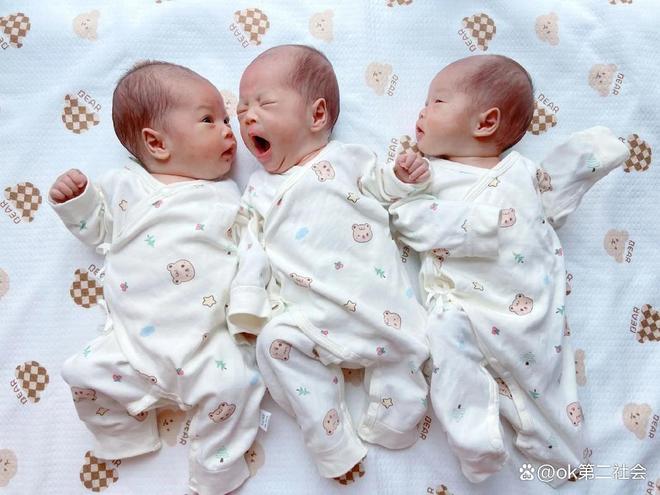 出生率拉响警报广东113万新生儿全国第一东北为何不愿生(图5)