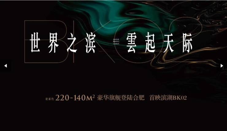滨湖区望雲项目户型图-优惠(图4)