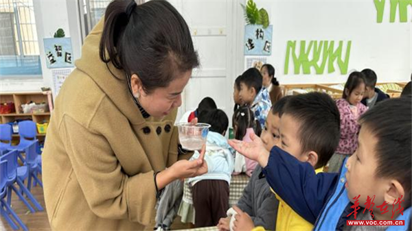 凯发国际首页：通道侗族自治县幼儿园：在科学探究中成长在同课异构中升华(图3)