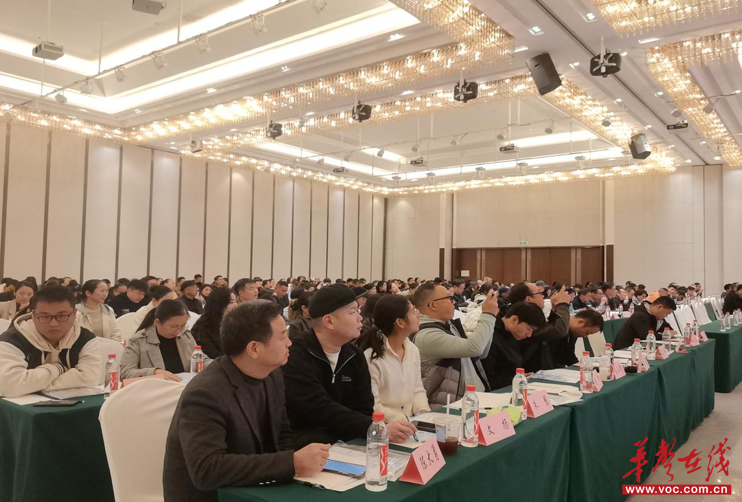 桃源县举办2025年秋季学期中小学幼儿园安全工作专题培训(图2)