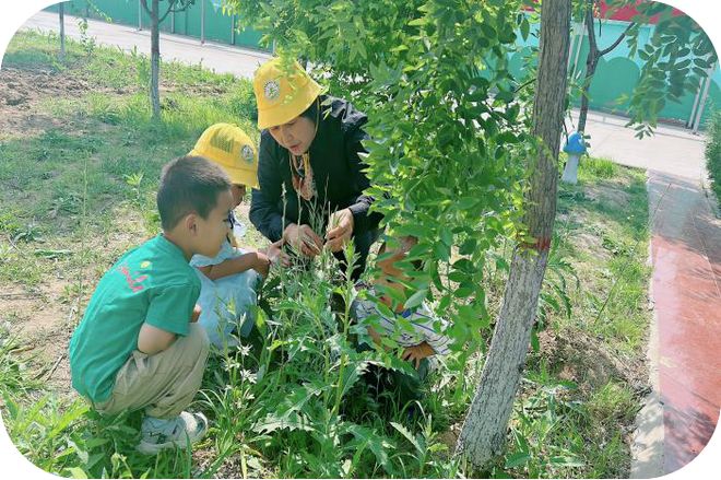 “大科技”启蒙“大情怀”筑梦——赤峰市宁城县直属机关第一幼儿园科学教育创新实践(图3)