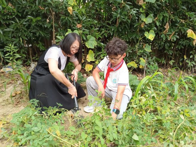 凯发国际：已10年！闵行这2所学校“幼小衔接”成果丰硕(图2)