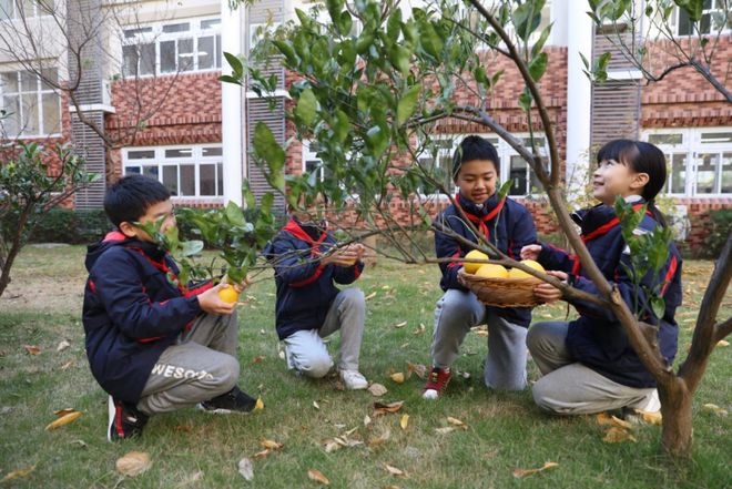 凯发国际：已10年！闵行这2所学校“幼小衔接”成果丰硕(图7)