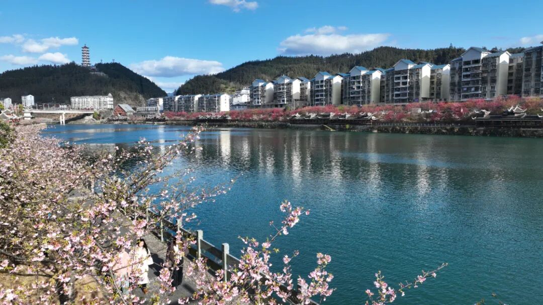 凯发国际：贵州锦屏：踔厉奋发谱华章砥砺前行结硕果(图4)