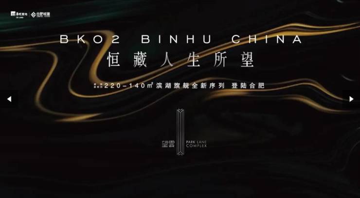滨湖区望雲【合肥楼盘排行榜前十名合肥新楼盘】(图4)