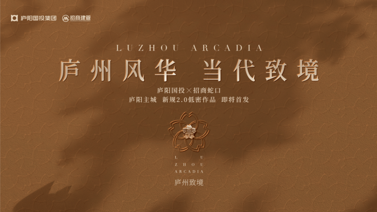 招商庐州致敬新房周边配套-学区(图1)