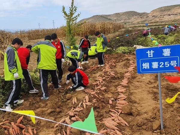 凯发国际首页：一所县城中职的转型路：“土”“洋”结合(图2)
