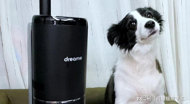 月薪三千也要养宠物到底有什么魔力？(图6)