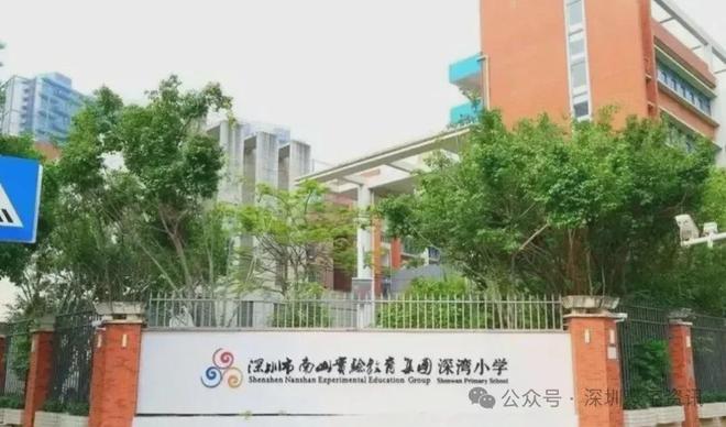 凯发国际首页：⏳启幕中海深湾玖序售楼处发布：新盘加推引爆全城期待!(图6)