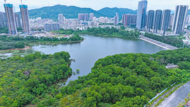 凯发k8旗舰厅ag：认证｜中建鹏宸云筑售楼处发布：品质定义湾区人居新高度(图3)