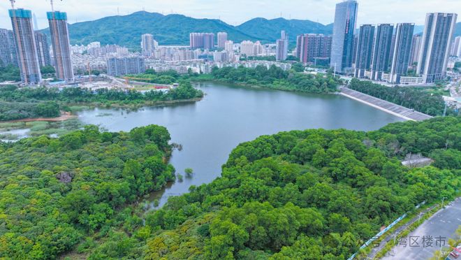 龙华中建鹏宸云筑2028年3月精装交楼国企楼盘护航安心置业(图8)